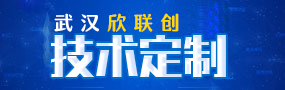武漢欣聯創(chuàng)技術定制